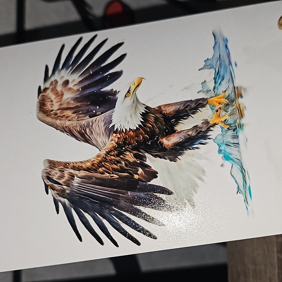 4x6 Soaring Bald Eagle‎ Ocean Watercolor Oil Painting Art Print - Picture 8 of 8